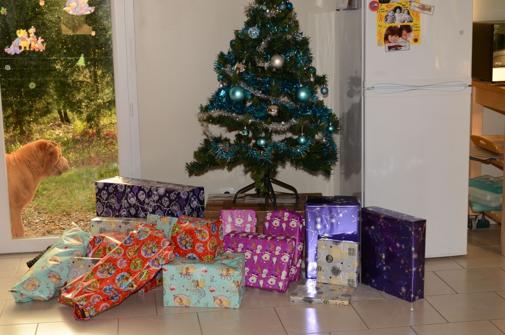 Le père Noël est passé !!!