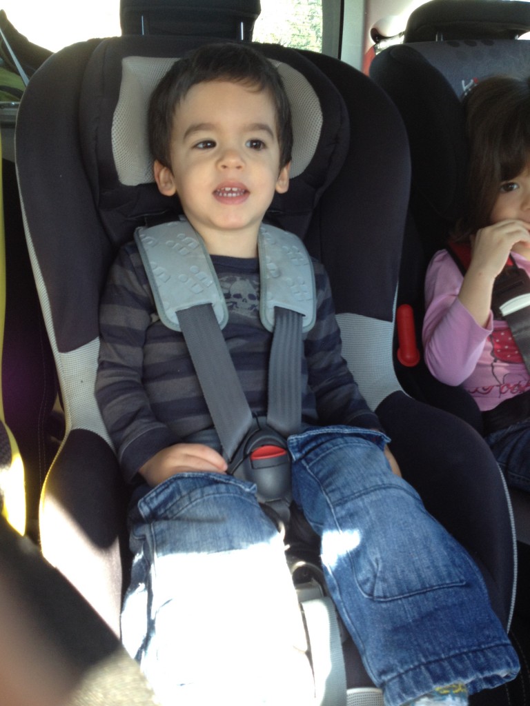 Chouette on va voir les animaux!!!!